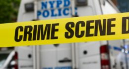Man, 47, found dead on Randalls Island with severe head trauma