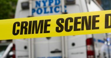 Man, 47, found dead on Randalls Island with severe head trauma