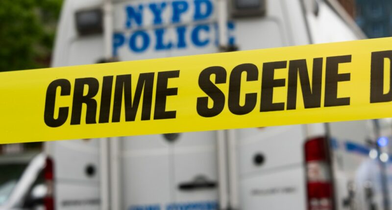Man, 47, found dead on Randalls Island with severe head trauma