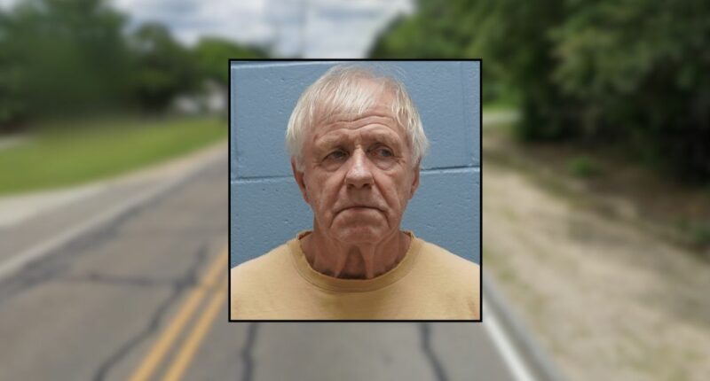 Man, 70, gave his 95-year-old mother two black eyes: Police