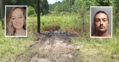 Man admits to murdering girlfriend, setting her body on fire