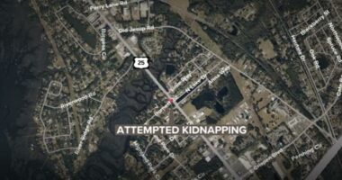 Man arrested after allegedly attempting to kidnap two 12-year-old girls in Glynn County