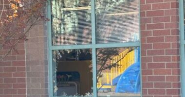 Man arrested for attempted kidnapping at S.C. school after breaking classroom window