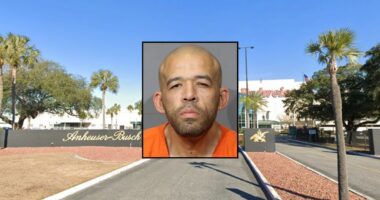 Man at brewery stabbed co-worker on first day: Cops