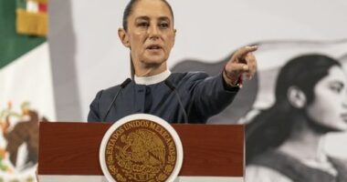 Man charged after groping Mexico's president on the street