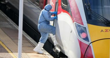 Man charged with attempted murder over train stabbing that wounded 11