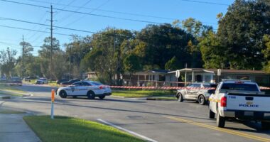 Man injured after being shot in driveway of Grand Park home, JSO says