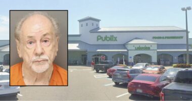 Man knew he hit 'something' when he ran over woman: Police