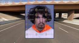 Man shot female driver because she honked, cut him off: Cops