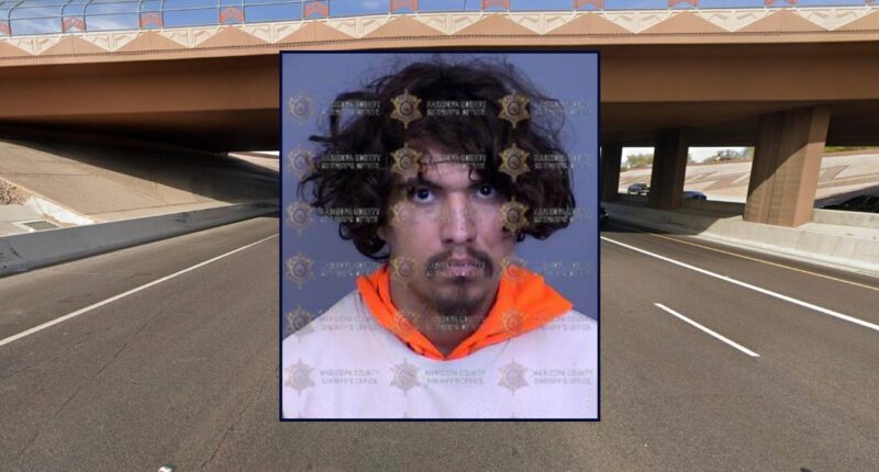 Man shot female driver because she honked, cut him off: Cops