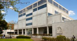 Man stabs wife, kills her dog in domestic violence incident