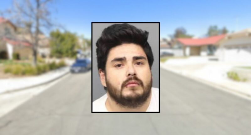 Man stabs woman in the head with a screwdriver, police say