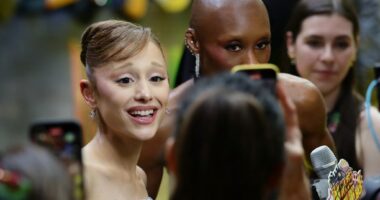 Man who rushed Ariana Grande at ‘Wicked: For Good’ premiere gets 9 days in jail