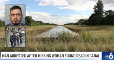 Man who said girlfriend was taken by ICE killed her: Cops