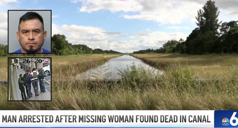 Man who said girlfriend was taken by ICE killed her: Cops