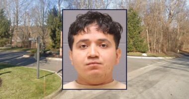 Man who stabbed 11-year-old during sleepover learns his fate