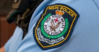 Manhunt after woman in her 80s sexually assaulted in NSW park