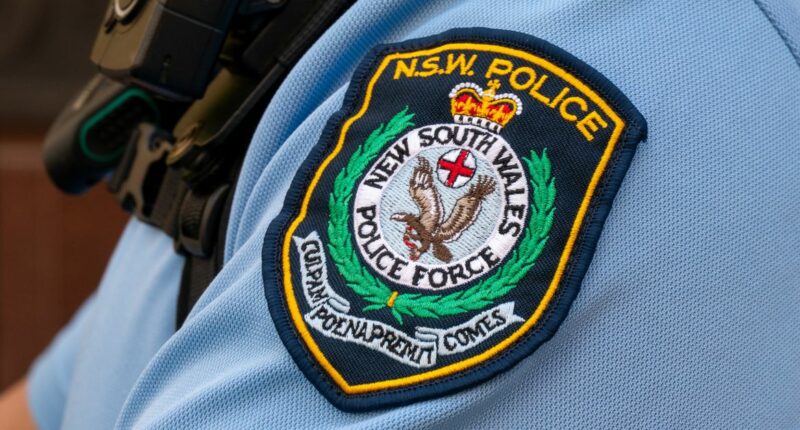 Manhunt after woman in her 80s sexually assaulted in NSW park