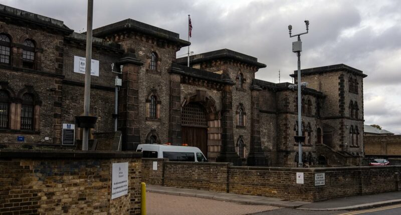 Manhunt launched for Palestine Action activist accused of going on the run from HMP Wandsworth after skipping bail