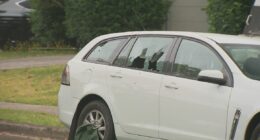 Manhunt under way after elderly couple targeted in shooting twice in two days