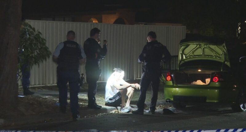 Manhunt under way after man hit in head with gun in suburban street