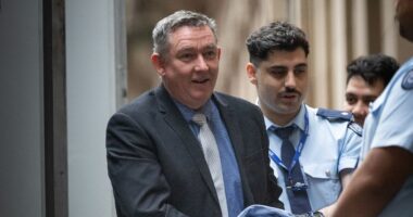 Manslaughter query if camper killer Greg Lynn faces fresh trial