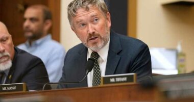 Many House Republicans will back a bill to release Epstein files, leaders of the effort say