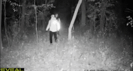 Masked thieves in South American crime ring loot American homes in coordinated pattern, police warn