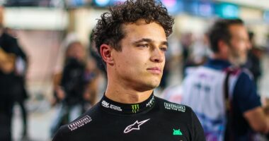 Max Verstappen wins Qatar Grand Prix after McLaren error costs Lando Norris as title battle goes to the final race of the season