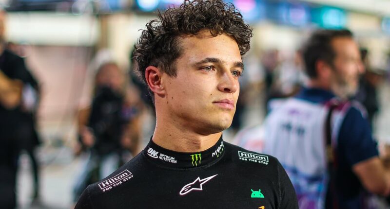 Max Verstappen wins Qatar Grand Prix after McLaren error costs Lando Norris as title battle goes to the final race of the season