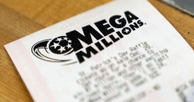 Mega Millions jackpot hits $800M: Why you'd take home far less