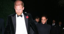 Meghan Markle claims she didn't wear a poppy on Remembrance weekend 'because they're not widely available'... despite husband Harry getting one