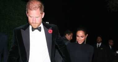 Meghan Markle claims she didn't wear a poppy on Remembrance weekend 'because they're not widely available'... despite husband Harry getting one