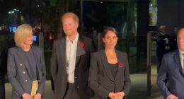 Meghan defends not wearing a poppy on Remembrance weekend