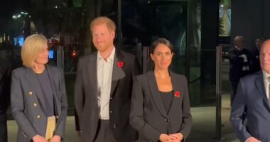 Meghan defends not wearing a poppy on Remembrance weekend