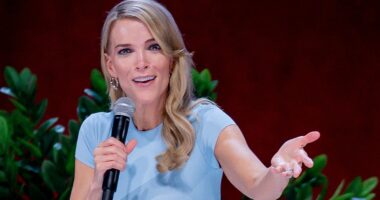 Megyn Kelly slammed on SNL after questioning Epstein's pedophilia