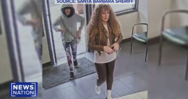 Melodee Buzzard's mom switched license plates on trip: Officials