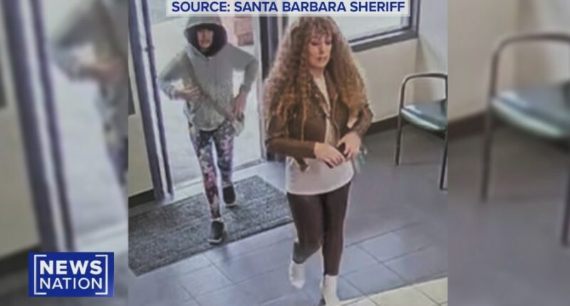 Melodee Buzzard's mom switched license plates on trip: Officials