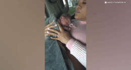 Mercedes Wells gives birth on side of road after being discharged from Franciscan Health Crown Point, Indiana: family