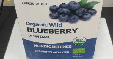 Meth worth $8 million found in blueberry power packaging at airport
