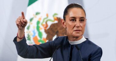 Mexican President Sheinbaum to press charges after man gropes her on walk