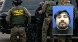 Mexican man who illegally entered US five times arrested after child abduction conviction in Illinois