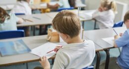 Michigan to teach gender identity as part of sex ed, despite backlash