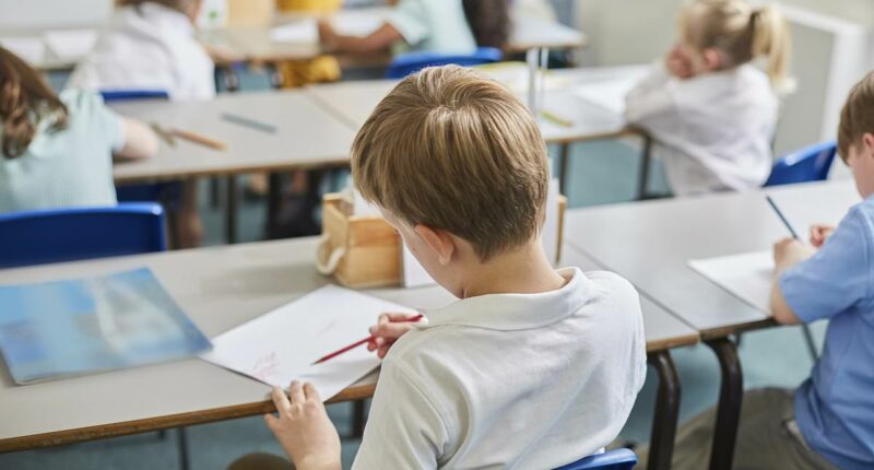 Michigan to teach gender identity as part of sex ed, despite backlash