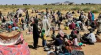 Displaced families from el-Fasher at a displacement camp where they sought refuge from fighting between government forces and the RSF, in Tawila, Darfur region