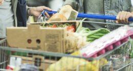 Millions of Aussies skipping meals or going days without eating due to cost