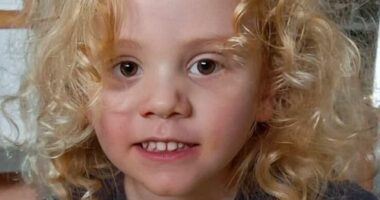 Missing four-year-old Gus