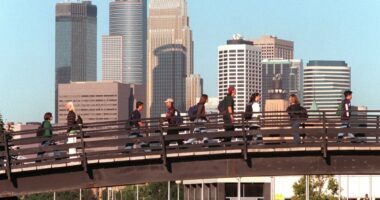 Minnesota university warns students about 'whiteness pandemic'