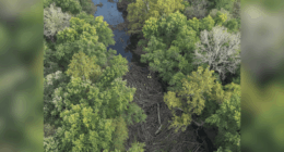 Missing Kansas deer hunter found on river log jam