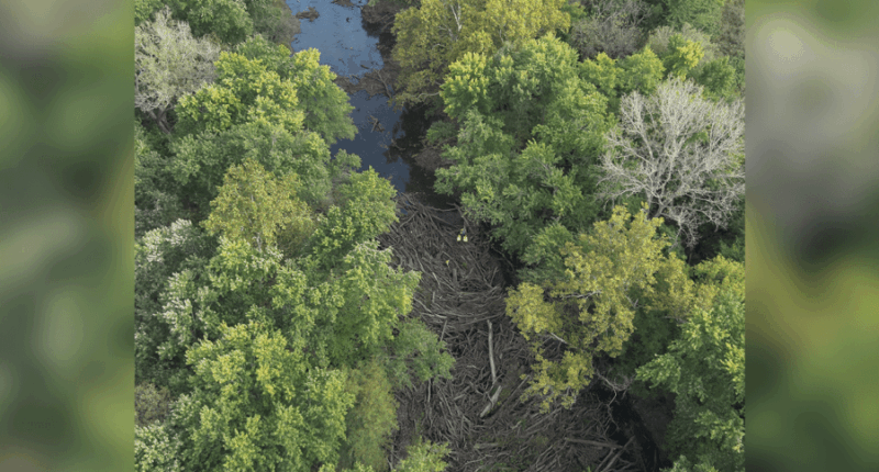 Missing Kansas deer hunter found on river log jam